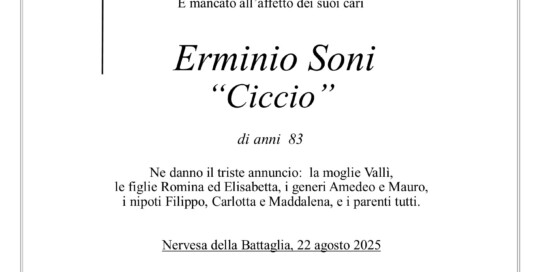Epigrafe Soni Erminio