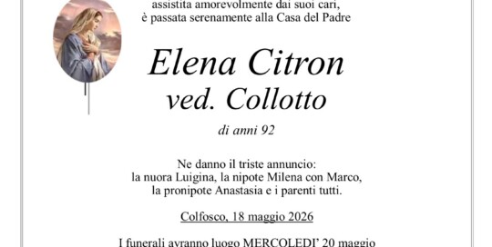 Epigrafe Citron Elena