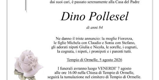 Epigrafe Pollesel Dino